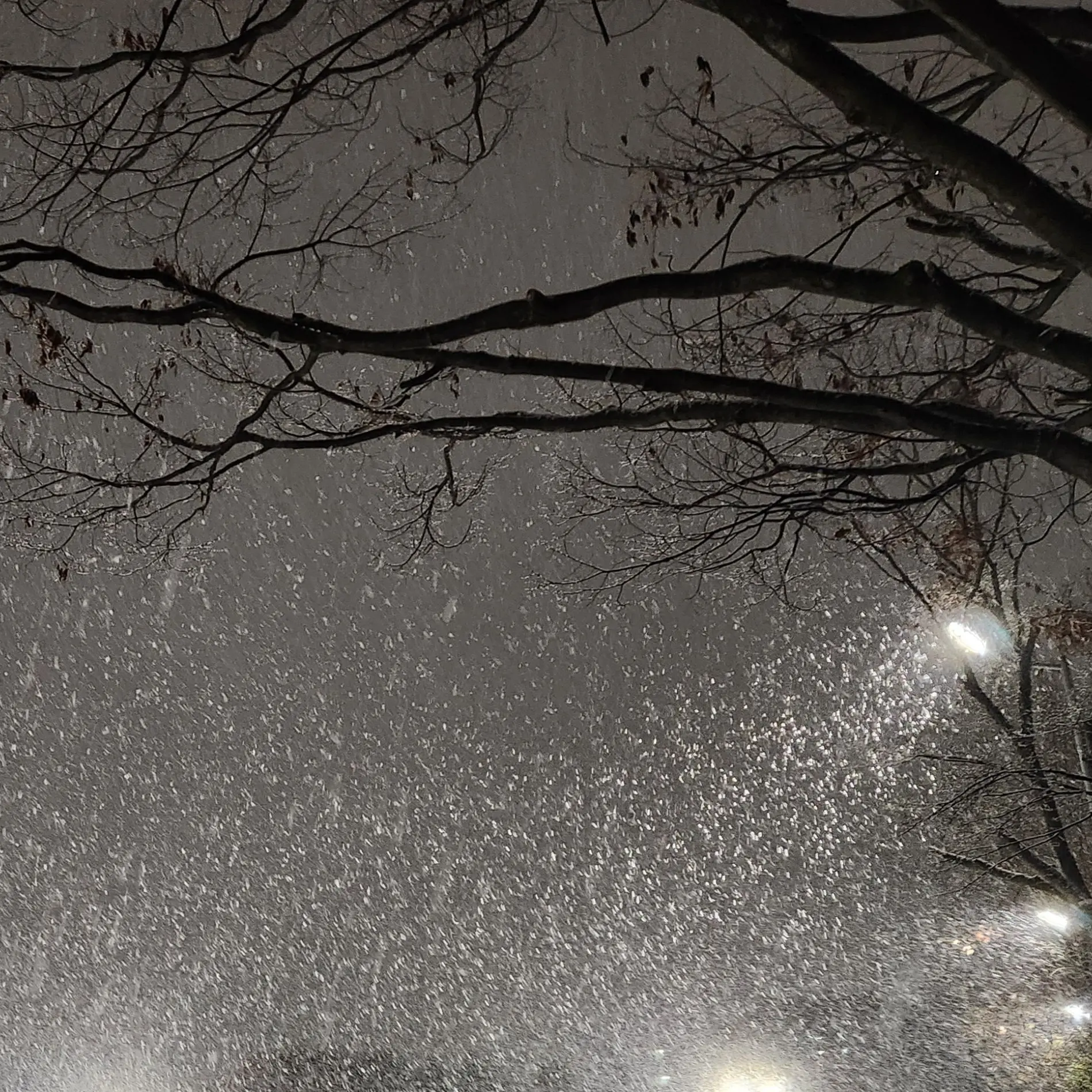 TOT_TOT의 박동원