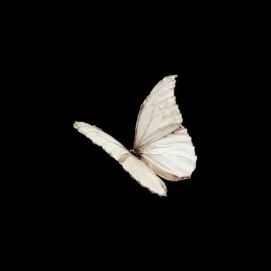 Profile image of 여태하