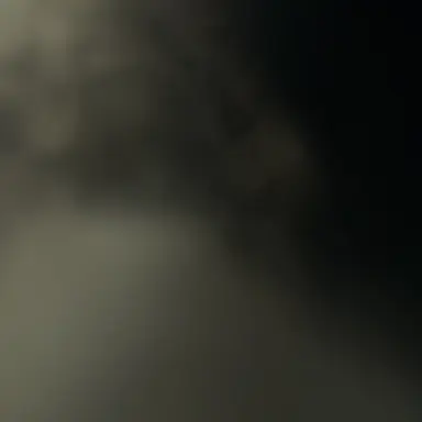 Profile image of ひな