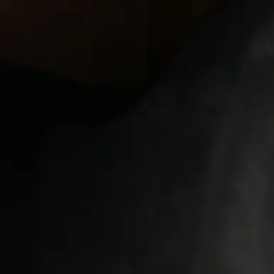 Profile image of 박성호