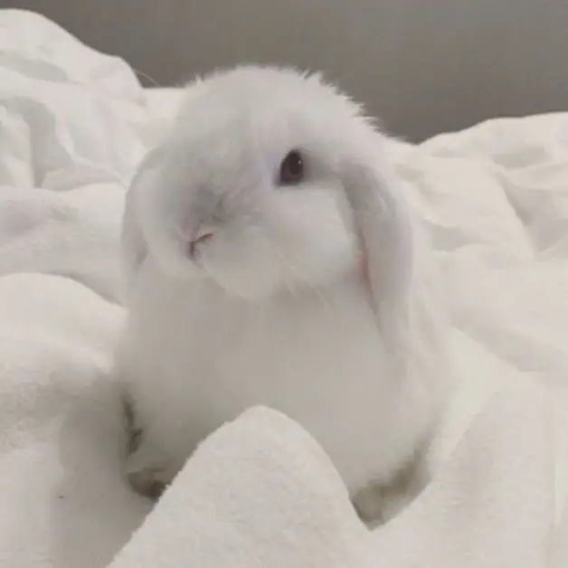 Cxrt의 ♡