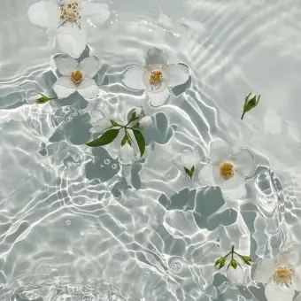 Profile image of 지하군 고등학교