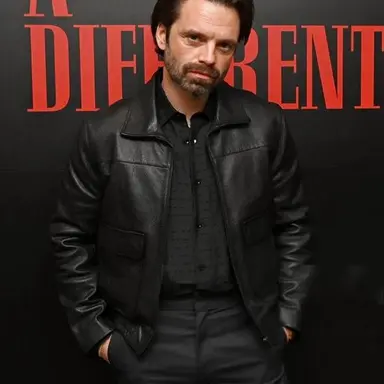 Profile image of Sebastian Stan