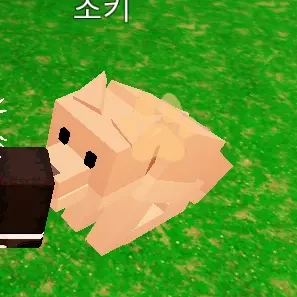 Profile image of 초키