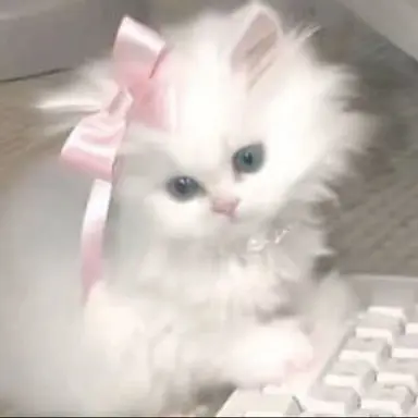 Profile image of 메이