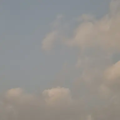 Profile image of 미수반