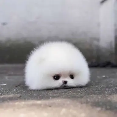 Profile image of ミンギュ