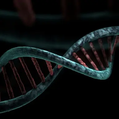 Profile image of 에반