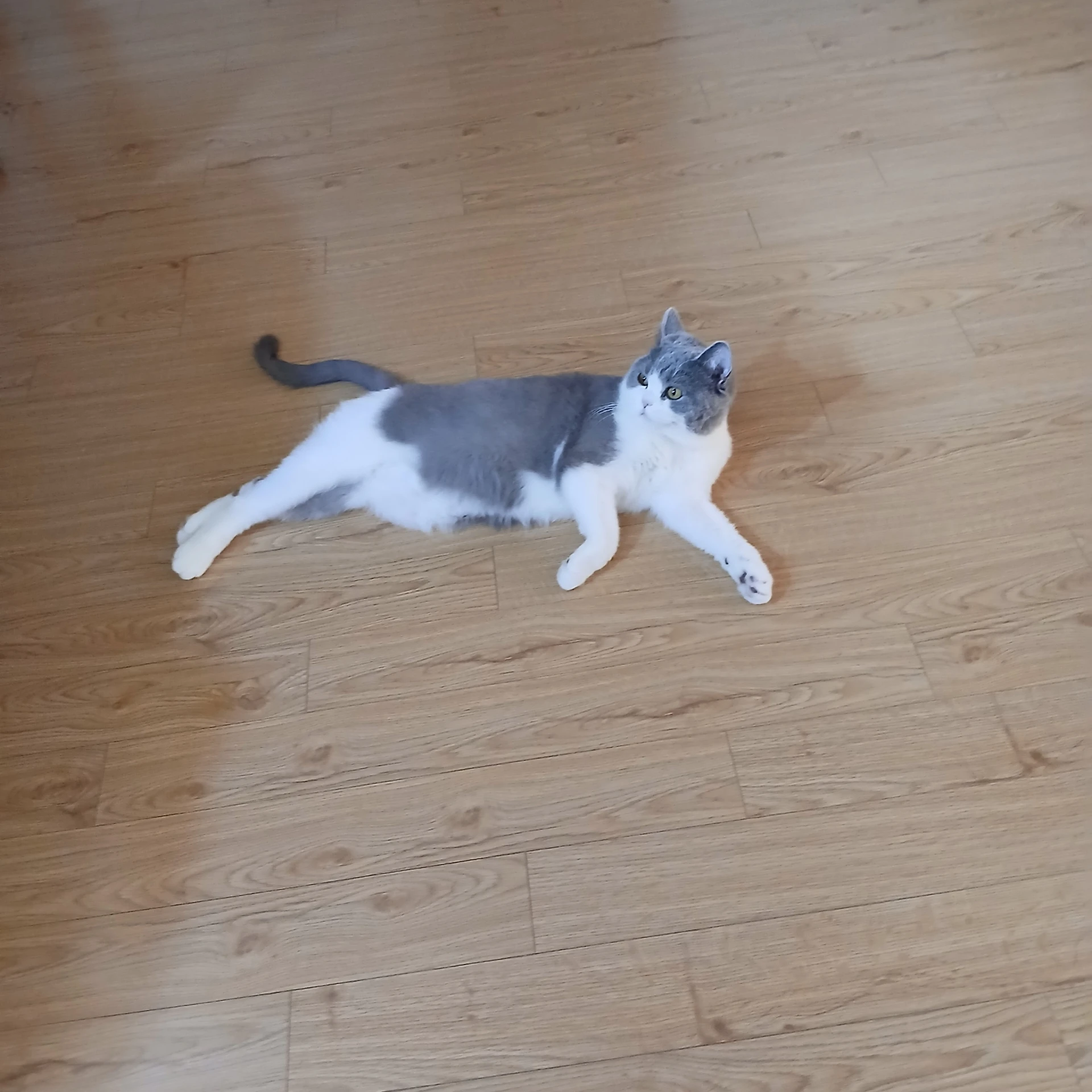 유진