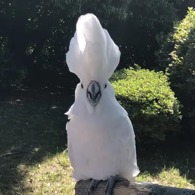 Profile image of たかし先生