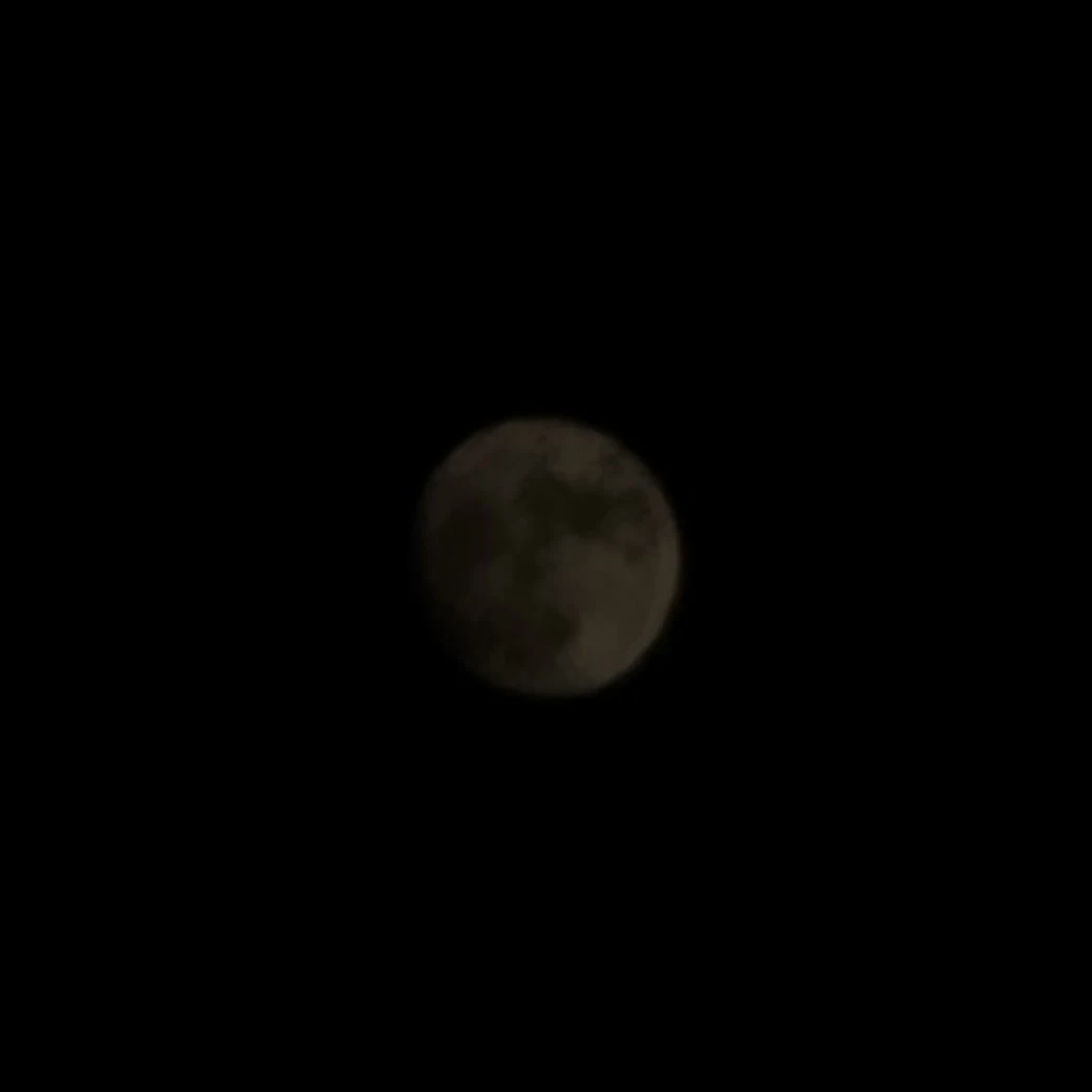 운학