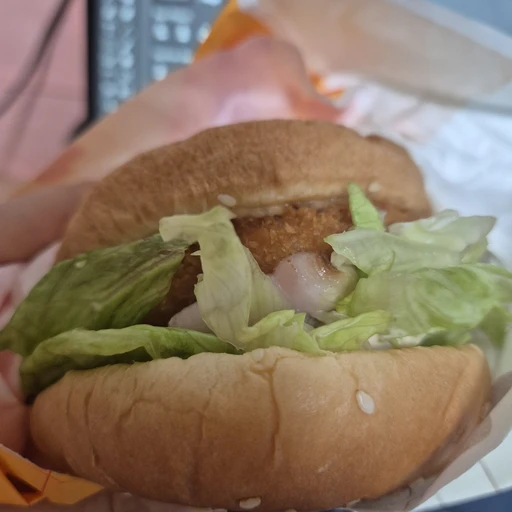 미대생