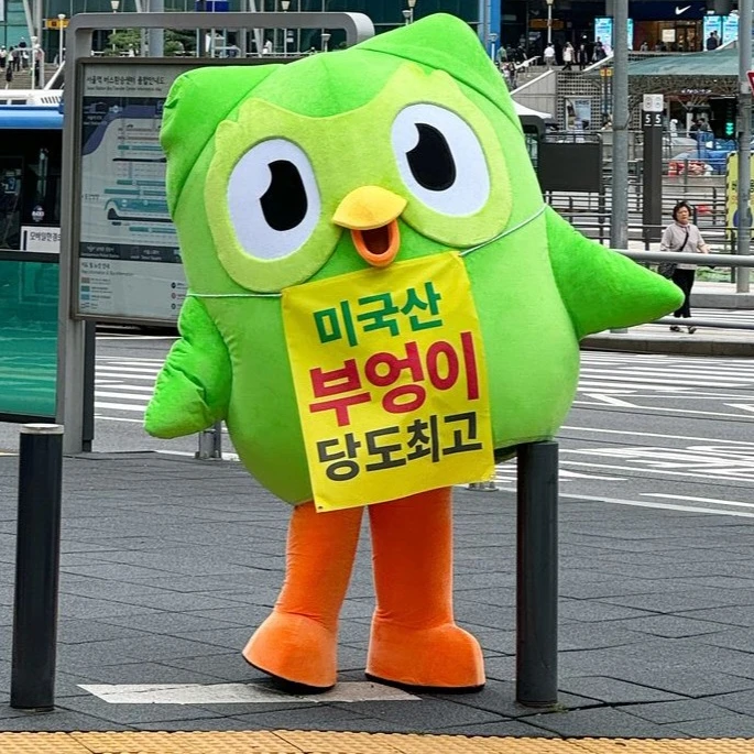 미국산 부엉이