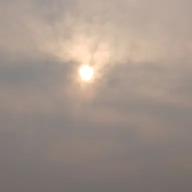 Profile image of 스피넬