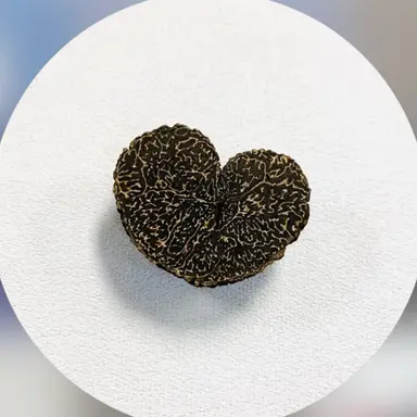 Profile image of 손종원