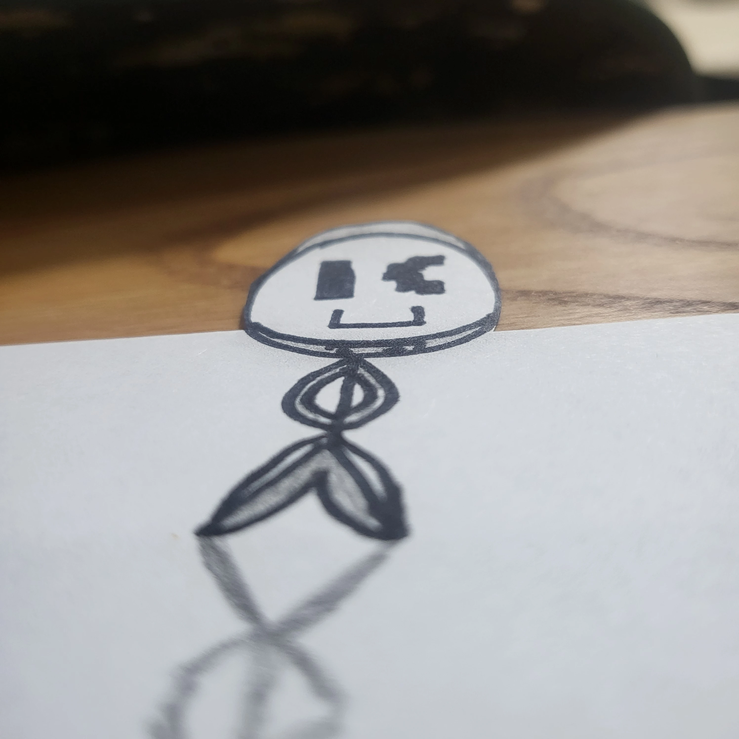 졸민