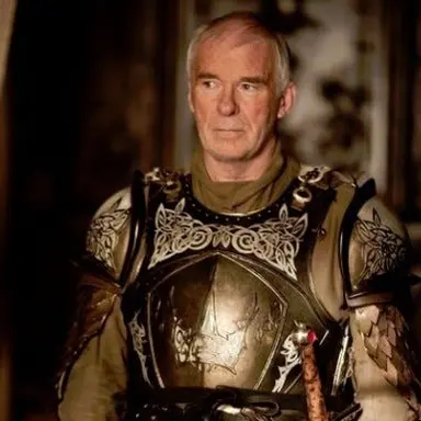 Profile image of Barristan Selmy
