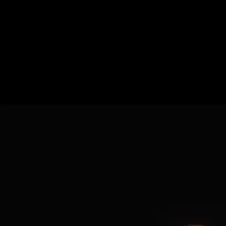 本田 菊