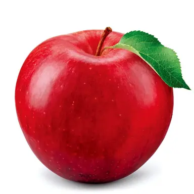 Profile image of 사과