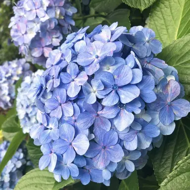 Profile image of 紗奈