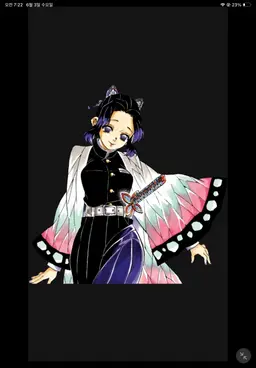 Profile image of 胡蝶しのぶ