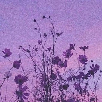 수경사