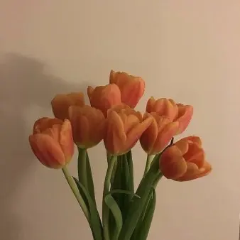 Profile image of 덕경장