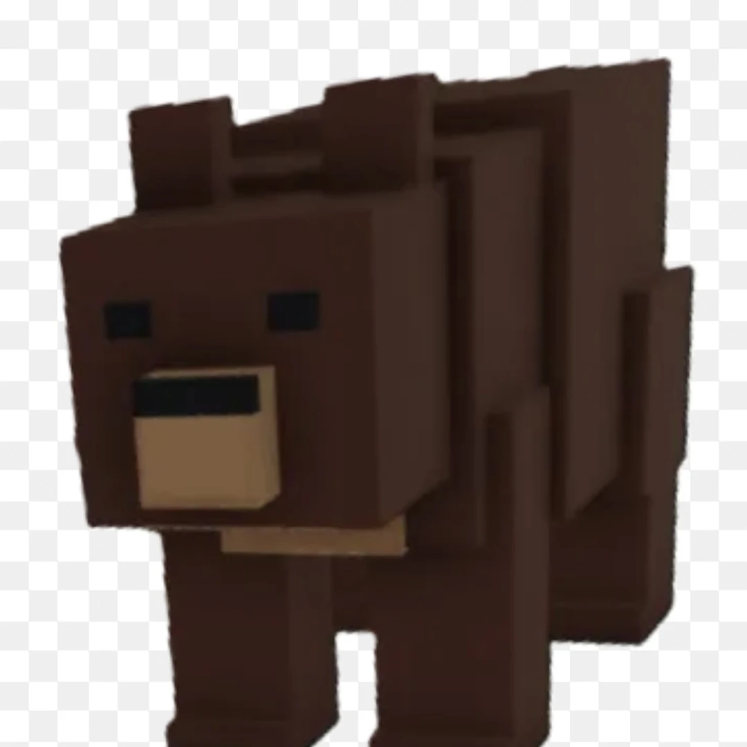 곰