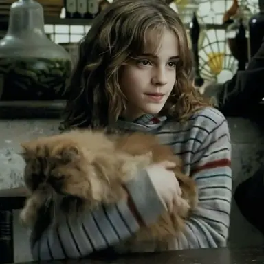 Profile image of Hermione Granger