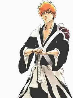 Profile image of Ichigo
