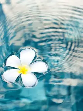 Dream_lv의 学園生活