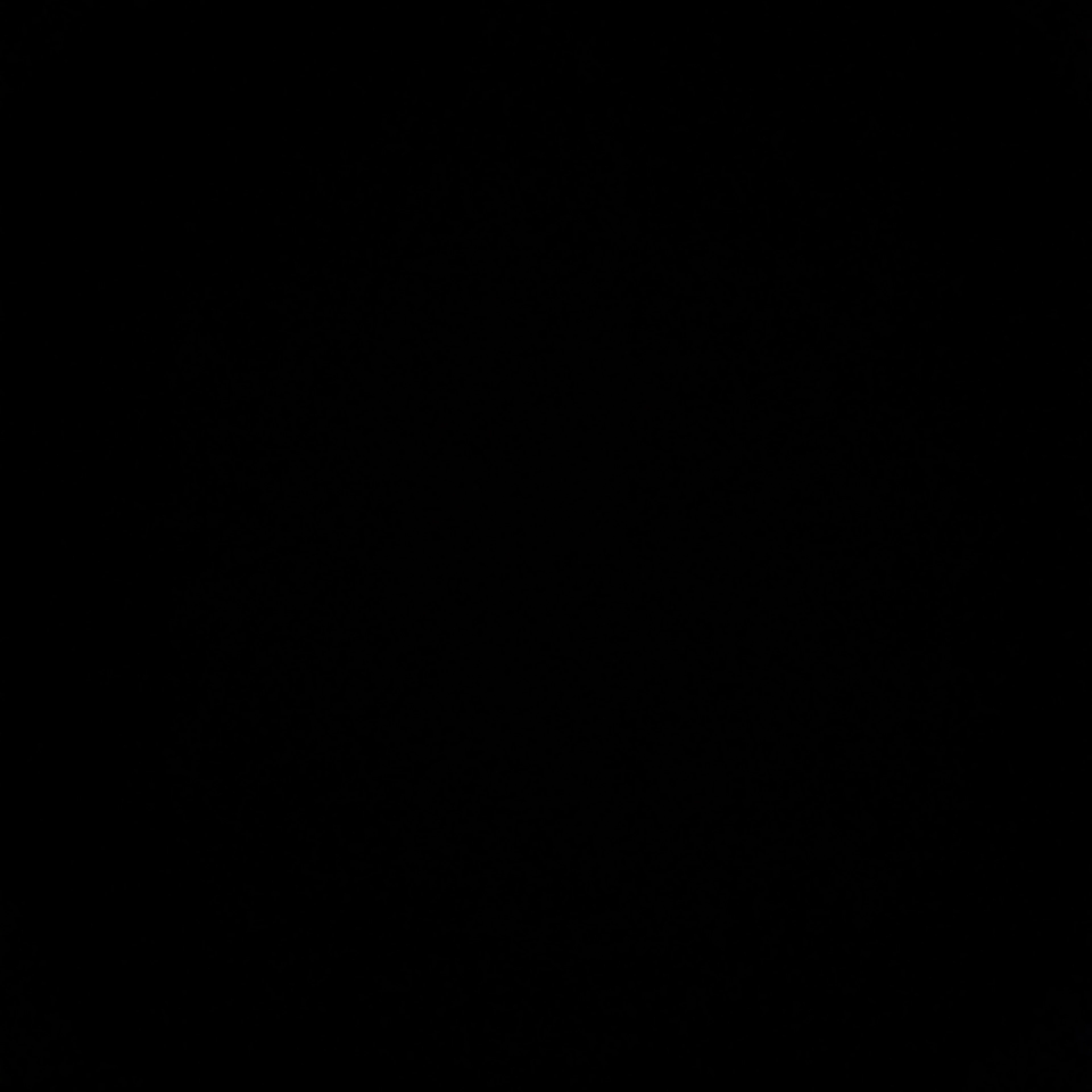 김_동현