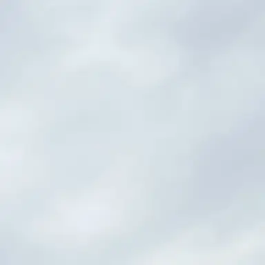 Profile image of 西畑大吾
