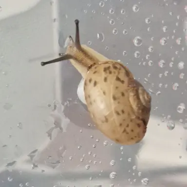 Profile image of 달룽