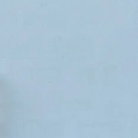 CoralFryer8565의 オキニ