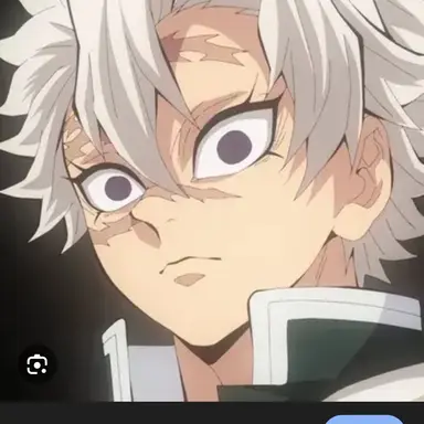 Profile image of 시나즈가와 사네미