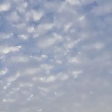 Profile image of 김건우