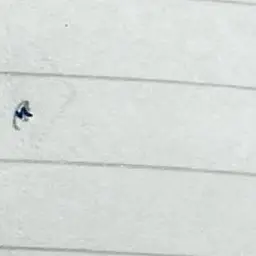 Profile image of フランス