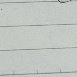 Profile image of ナチス