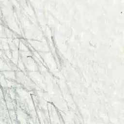 Profile image of イタ王