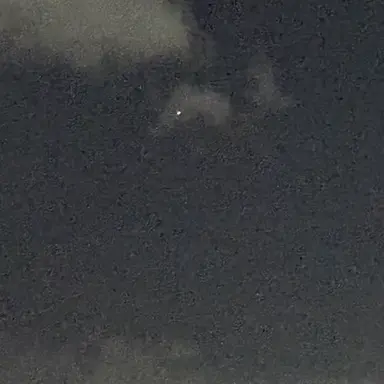 Profile image of 찐따 인싸 무리