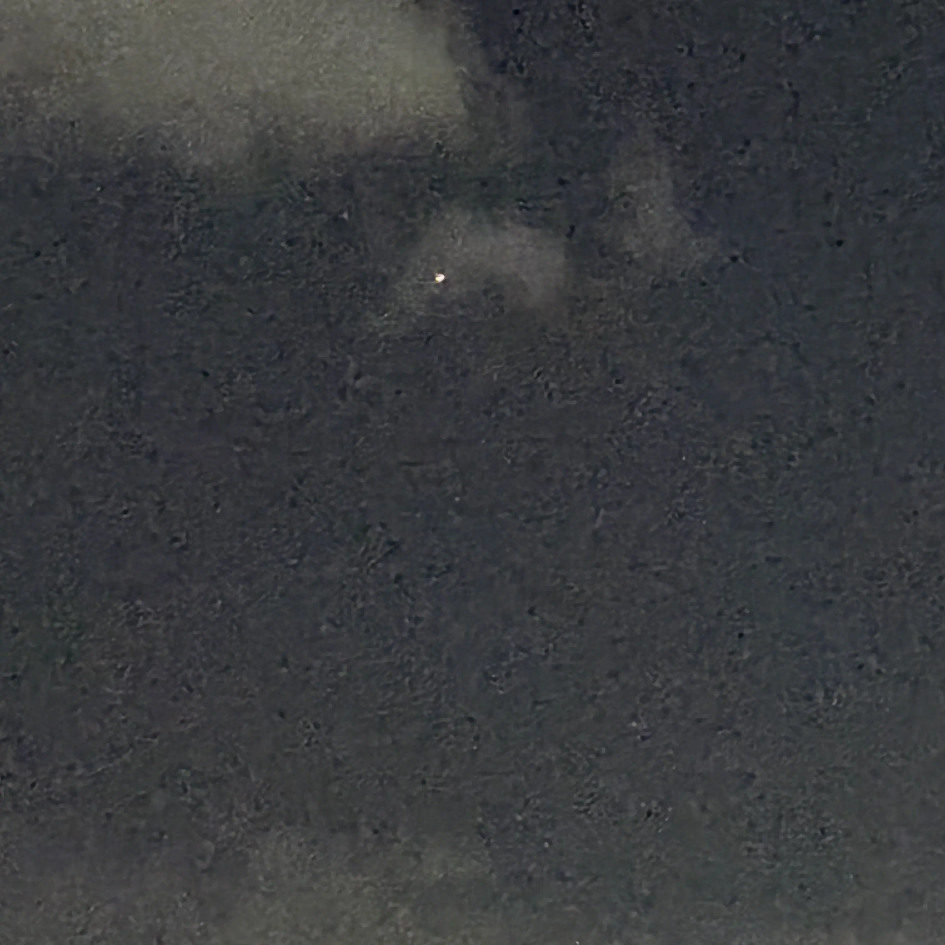 qppr1004의 찐따 인싸 무리