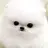 마롱