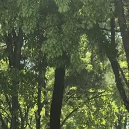 Profile image of 정공룡