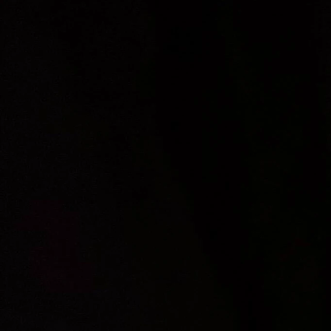김동현