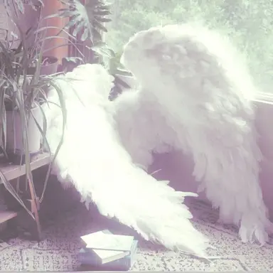 Profile image of 밥풀