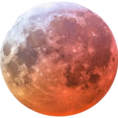 Profile image of 적월사부