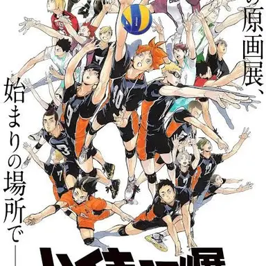 Profile image of Haikyuu