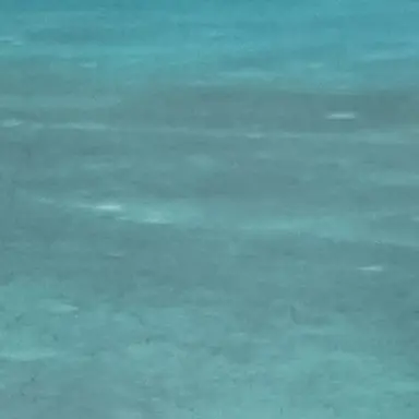 Profile image of 모찌엘