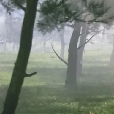 Profile image of 백현